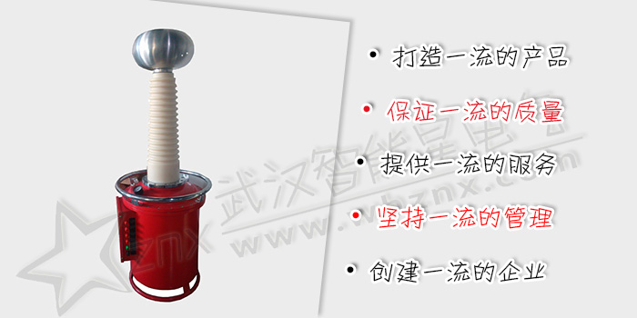 精密電壓互感器