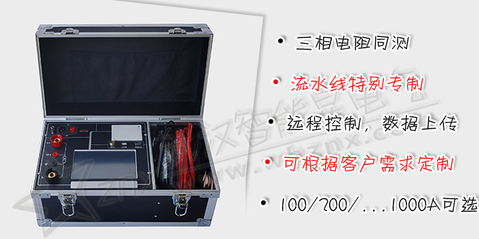 100A\200A\300A智能回路電阻測試儀