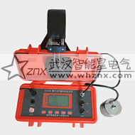 數字式聲磁同步定點儀
