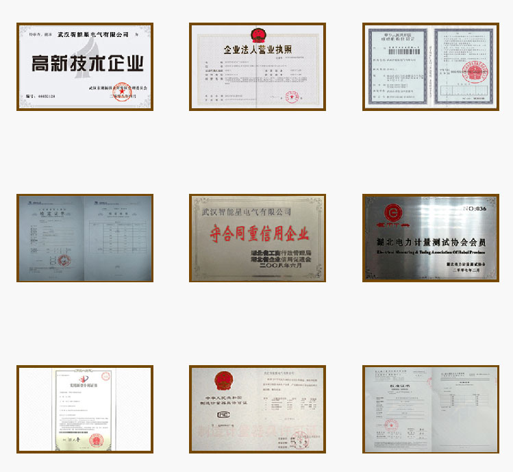 武漢智能星企業(yè)資質(zhì)